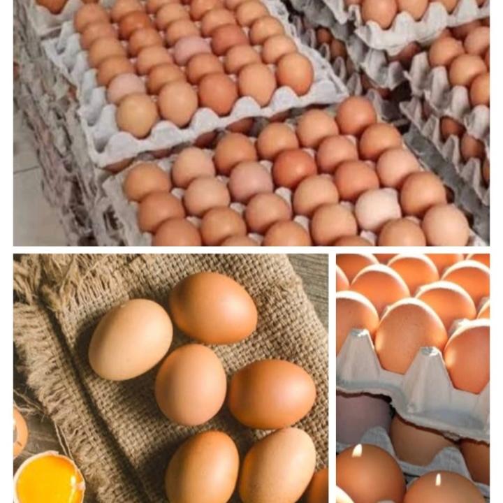 Telur Ayam Negri Kuning